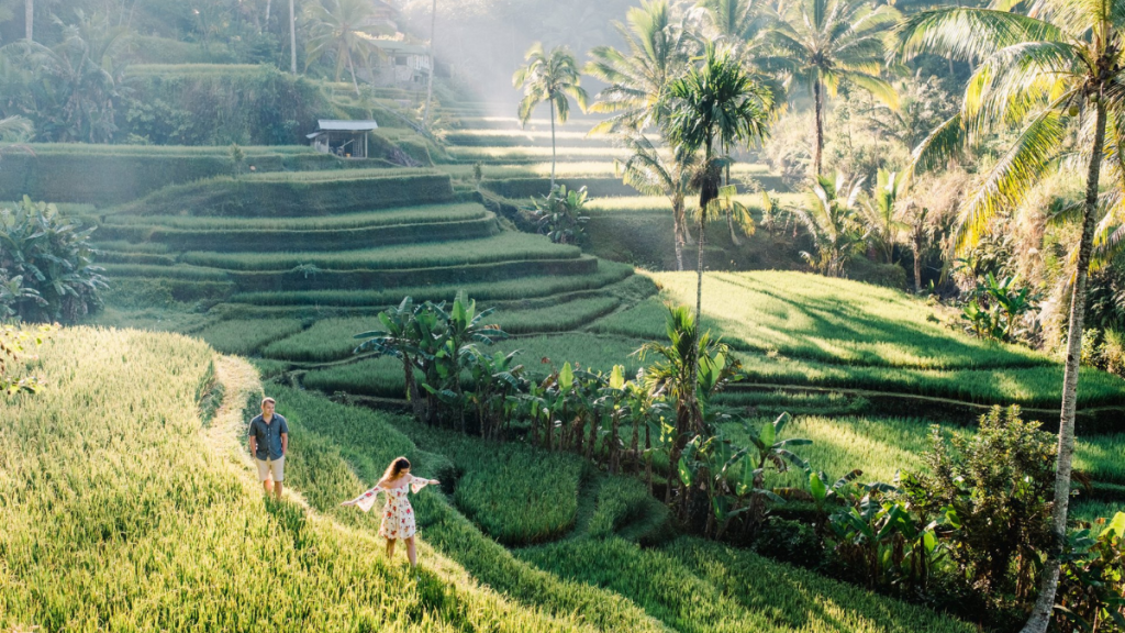 Ubud Private Tour